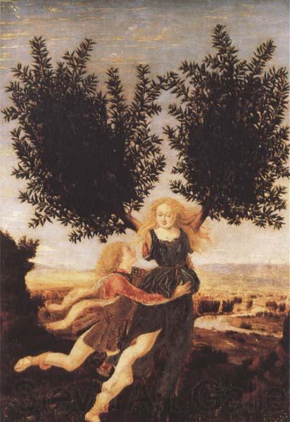 Antonio del Pollaiuolo Apollo and Daphne (mk45) Norge oil painting art